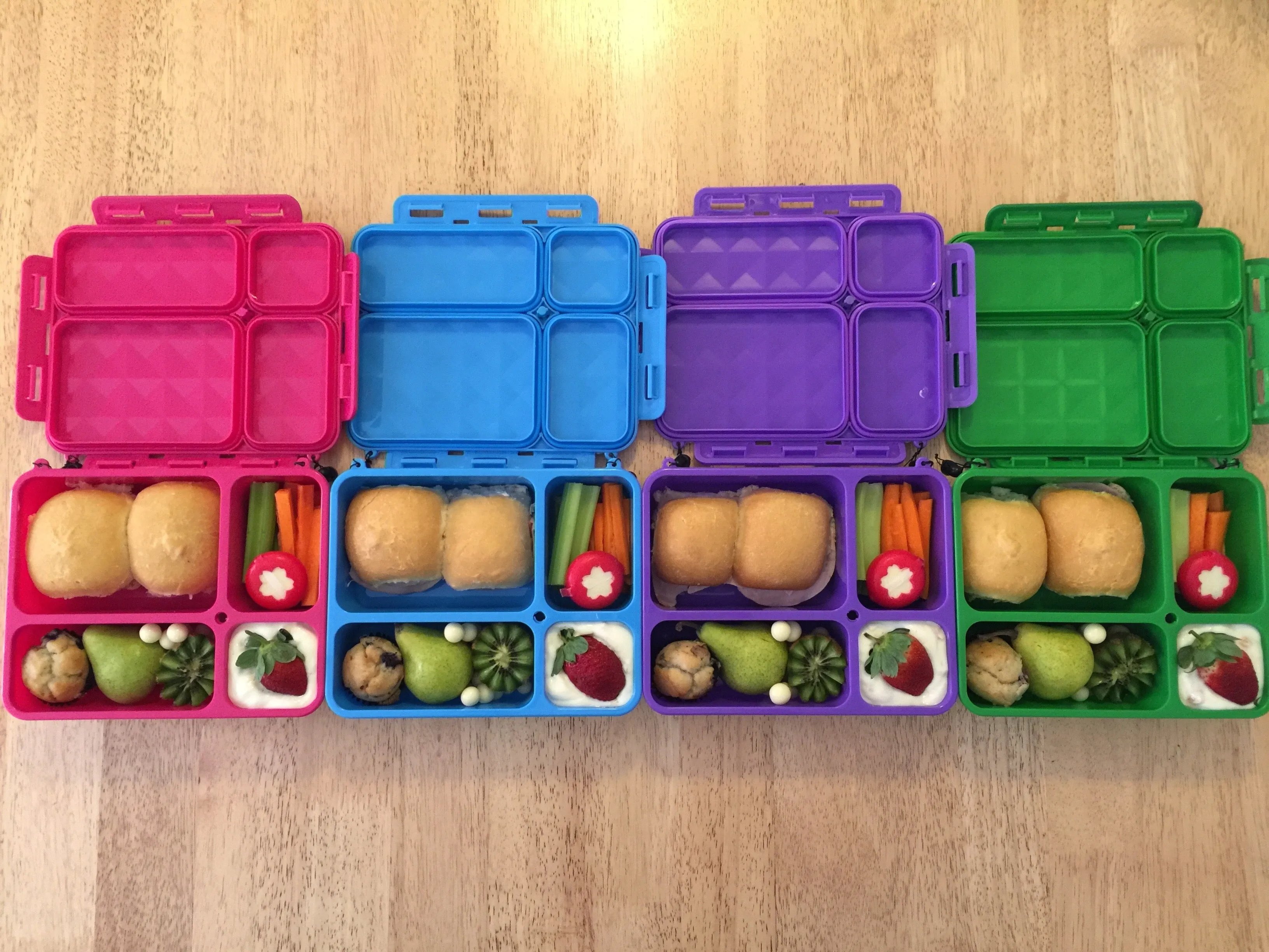 Go Green Lunch Box Bundle - MEDIUM