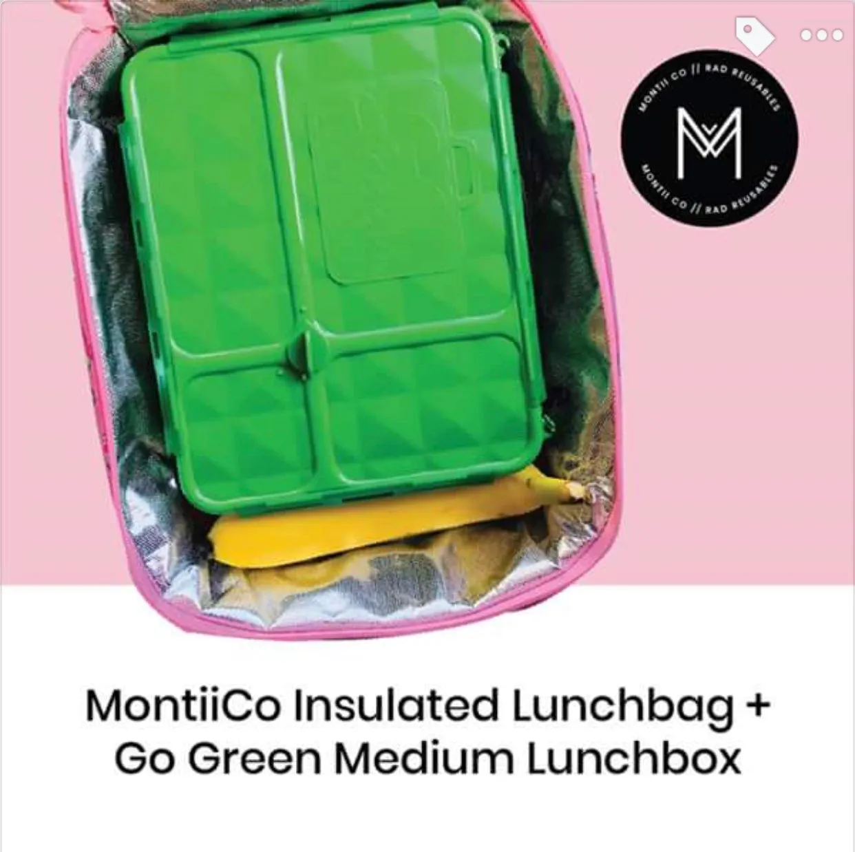 Go Green Lunch Box Bundle - MEDIUM