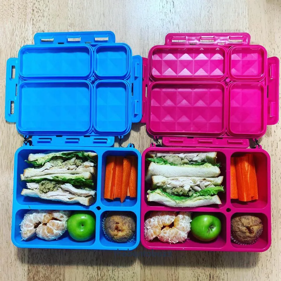 Go Green Lunch Box Bundle - MEDIUM