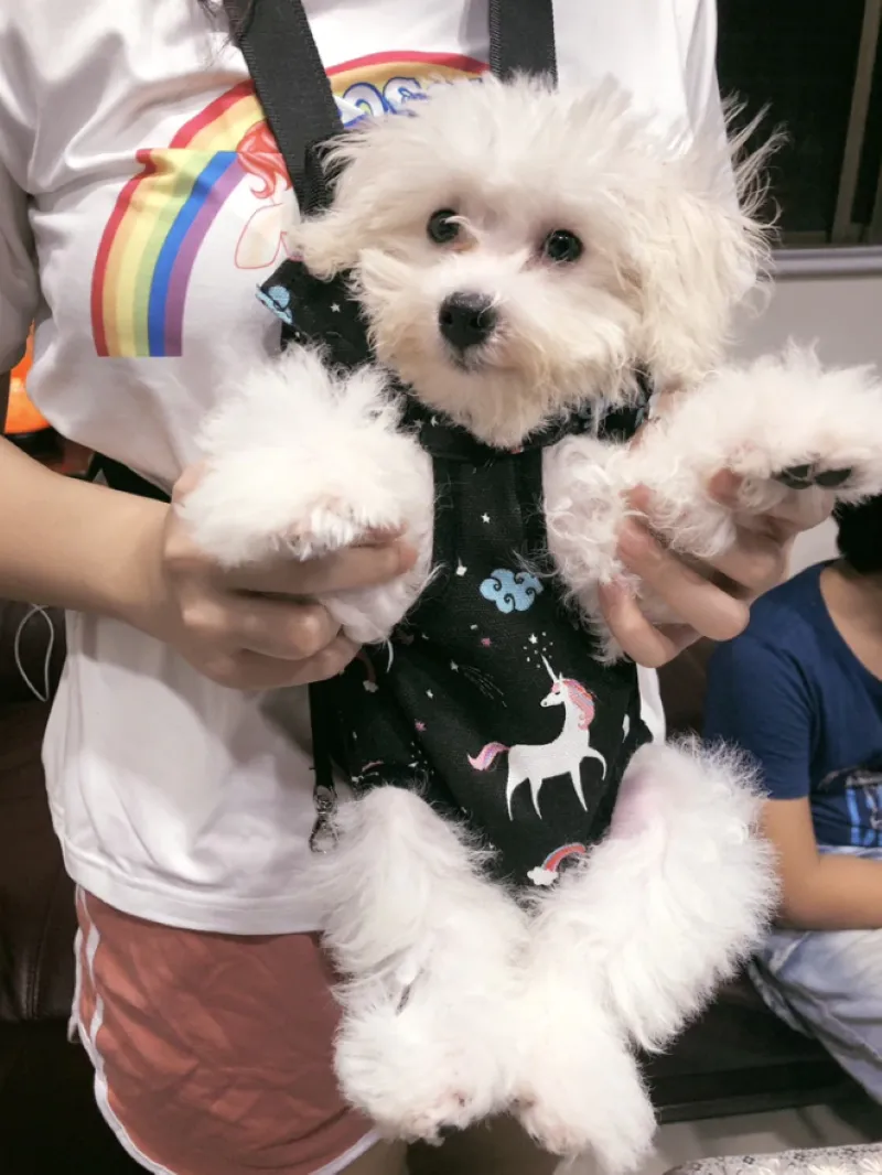 Pet Eco Friendly Breathable Carrier Back Packs